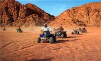 Mega Tour con Safari por el Desierto del Sharm