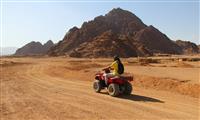 Tour Safari en cuatrimoto y camello por el Desierto