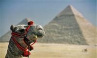 Tour a las Pirámides del Cairo y el Museo Egipcio desde Sokhna