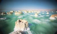 Tour de un día al Mar Muerto