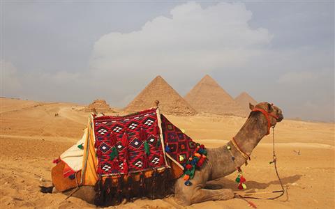 Tour Por El Cairo y Húrgada
