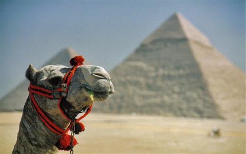 Tour a las pirámides  y el viejo Cairo desde Port Said